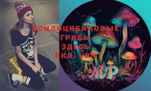 PSILOCYBIN Абинск